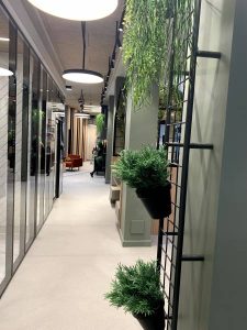 Couloir éclairé avec des plantes sur le mur ainsi que des vitres sur celui opposé