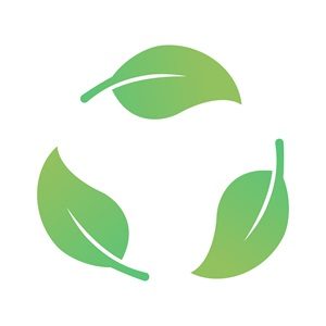 image avec des feuilles